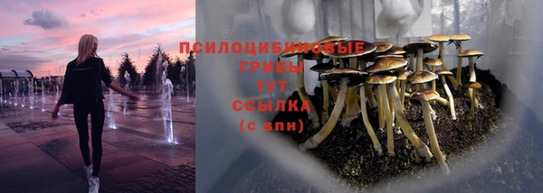 марки lsd Новокубанск