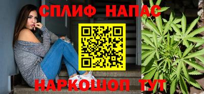 шишки Берёзовский