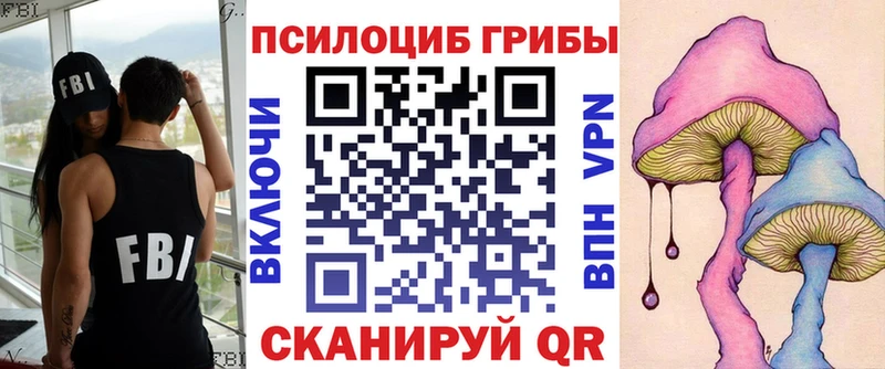 omg рабочий сайт  Бугуруслан  Галлюциногенные грибы Psilocybe  закладки 