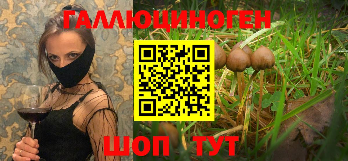 Галлюциногенные грибы Magic Shrooms Бугуруслан