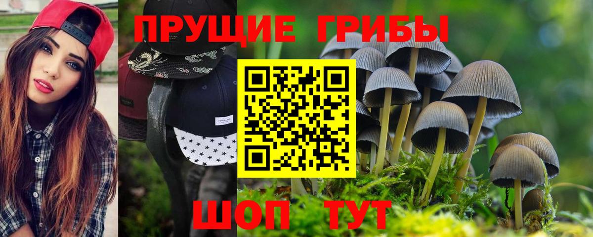 Галлюциногенные грибы прущие грибы  наркота  Псилоцибиновые грибы Cubensis  Бугуруслан  Вход с VPN 
