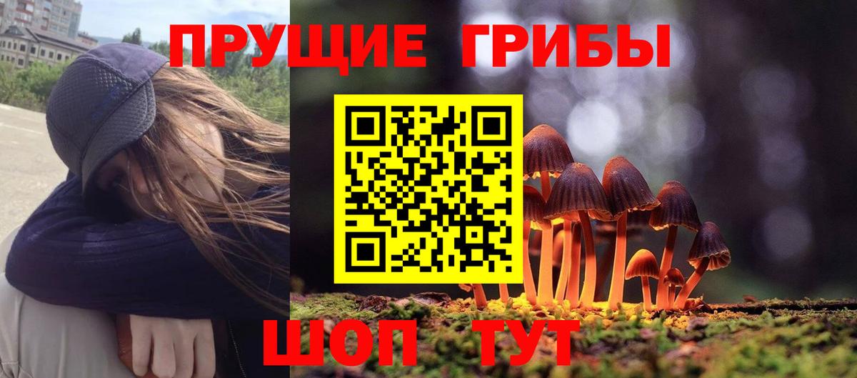 Галлюциногенные грибы Cubensis  Галлюциногенные грибы MAGIC MUSHROOMS  как найти закладки  Бугуруслан 