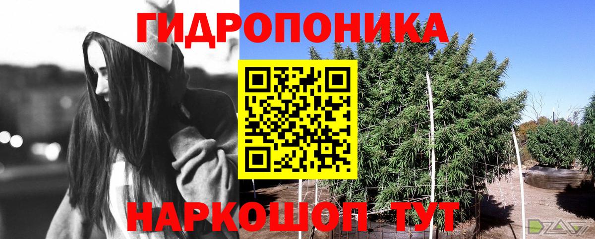 Шишки марихуана индика  Вход с VPN  Бугуруслан  МАРИХУАНА индика  Бошки марихуана MAZAR  Канабис OG Kush 